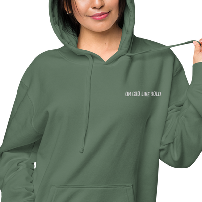 Basic's Premium Maroon Unisex Hoodie