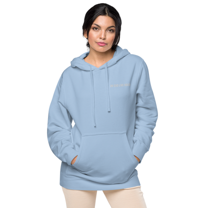 Basic's Premium Maroon Unisex Hoodie