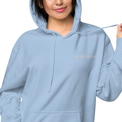 Basic's Premium Maroon Unisex Hoodie