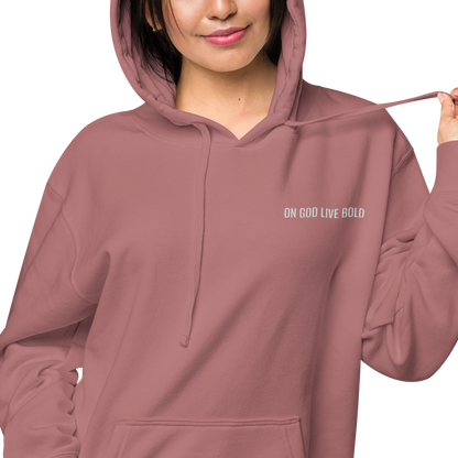 Basic's Premium Maroon Unisex Hoodie