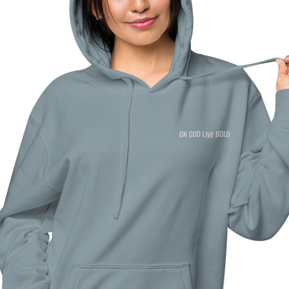 Basic's Premium Slate Unisex Hoodie